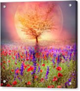 Magical Moon In The Poppies Acrylic Print