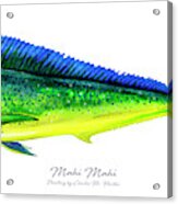 Mahi Mahi Acrylic Print