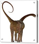 Malawisaurus Dinosaur Tail Acrylic Print