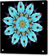 Mandala Of Blue Acrylic Print