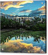 Mangrove Reflection At Sunrise In Key West Acrylic Print