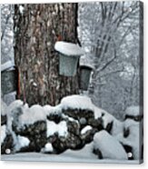 Memories Of Sugaring Acrylic Print