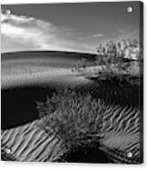 Mesquite Flats Sand Dunes In Black And White Acrylic Print