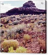 Mexican Hat Acrylic Print