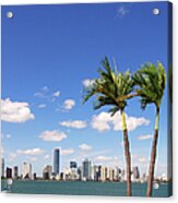 Miami Skyline Acrylic Print