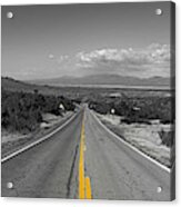 Middle Of The Road Acrylic Print