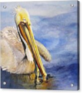 Miss. Pelican Acrylic Print