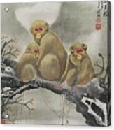 Monkey Family Acrylic Print