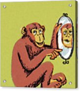 Monkey Pointing At Mirror Acrylic Print