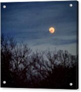 Moonrise And Trees Acrylic Print