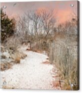 Morning Dune Acrylic Print