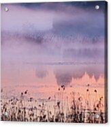 Morning Fog At A Bavarian Lake Acrylic Print
