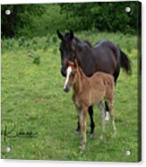 Mother And Baby Acrylic Print