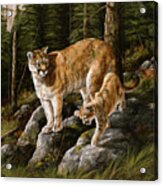 Mother And Child (mt. Lions) Acrylic Print