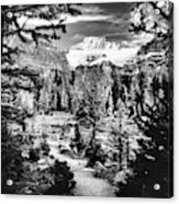 Mount Fay From Larch Valley Trail Acrylic Print