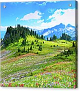 Mount Rainier Summer Colors Acrylic Print