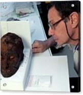 Museum Curator And Mummified Head Acrylic Print