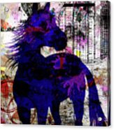 My Painted Pony 03 Acrylic Print