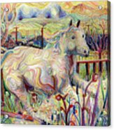My Soul Is An Escaped Horse Acrylic Print