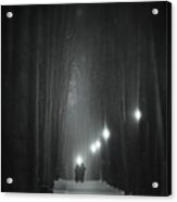 Mysterious Forest Acrylic Print