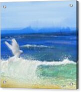 Ocean Dove The Faithful Witness Acrylic Print