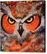 Ol Keys Owl Acrylic Print