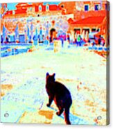 Old Harbor Black Cat Acrylic Print