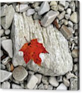 One Leaf Many Rocks Acrylic Print