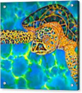Opal Sea Turtle Acrylic Print