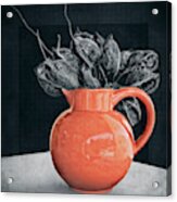 Orange Pot And Seed Pods Acrylic Print