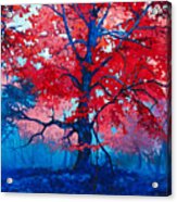 Original Oil Painting On Canvasmodern Acrylic Print