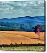 Out Standing In My Field Acrylic Print