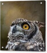 Owl's Eye Acrylic Print