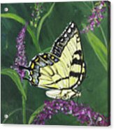 Pa75 Yellow Swallowtail Acrylic Print