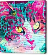 Paint My Cute Kitty Face Bright Pink Acrylic Print