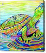Psychedelic Neon Rainbow Painted Turtle Acrylic Print