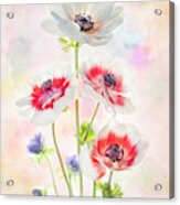 Painterly Anemone Acrylic Print