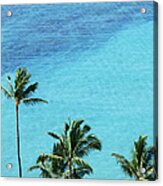 Palm Trees And Surface Of The Sea Acrylic Print
