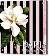 Paris Magnolias Iv Acrylic Print