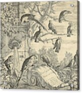 Parrots And Monkeys At A Garden Fountain Acrylic Print
