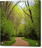 Path In The Forest Acrylic Print