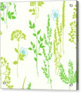 Pattern Of Green Plants Acrylic Print