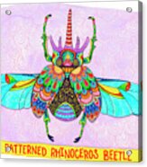 Patterned Rhino Beetle Mounted Acrylic Print
