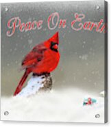 Peace On Earth Acrylic Print