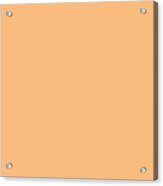 Peach Orange Solid Color By Delynn Addams For Interior Home Decor Acrylic Print