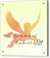 Pegasus Flight Fly Acrylic Print
