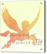Pegasus Flight Acrylic Print