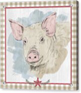 Pig Portrait-farm Animals Acrylic Print