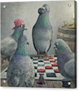Pigeons Playing Checkers Acrylic Print