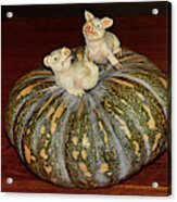 Pigs On Pumpkin By Kaye Menner Acrylic Print